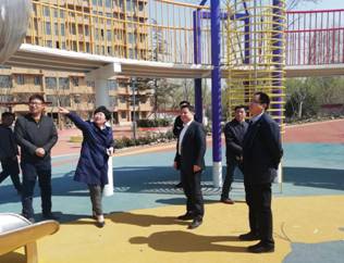 寧晉縣委書記唐樹元對 “民樂園東擴項目”進行實地調(diào)研