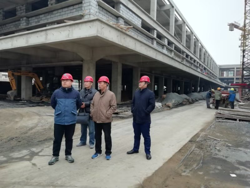 安國(guó)項(xiàng)目檢查