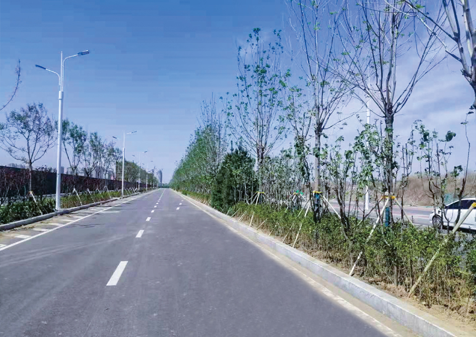 長(zhǎng)虹西道（光明路—站前路）道路工程