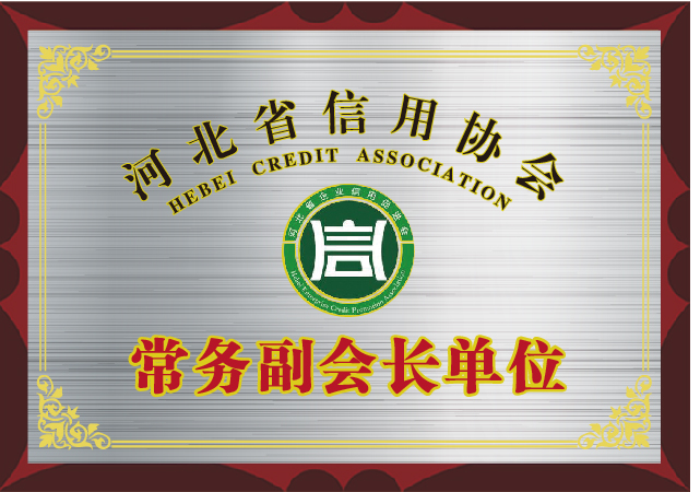 常務(wù)副會(huì)長_畫板 1.jpg